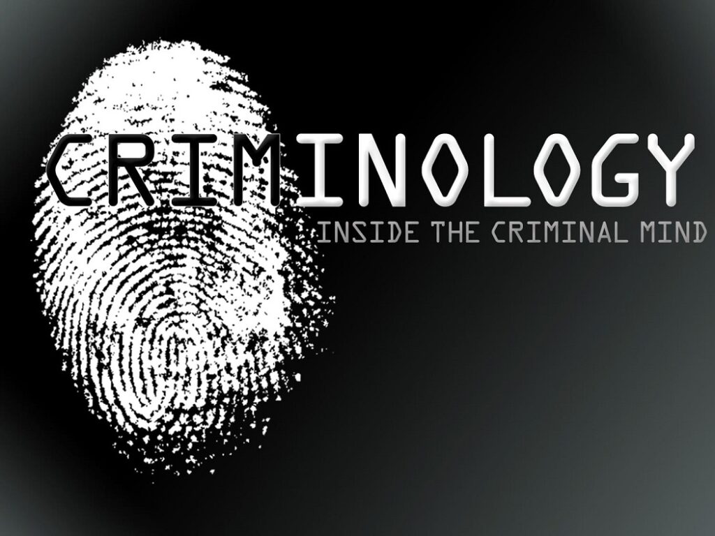 Criminology and Security Studies